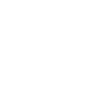icon 17