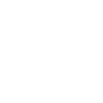 icon 18