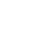 icon 22