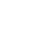 icon 28